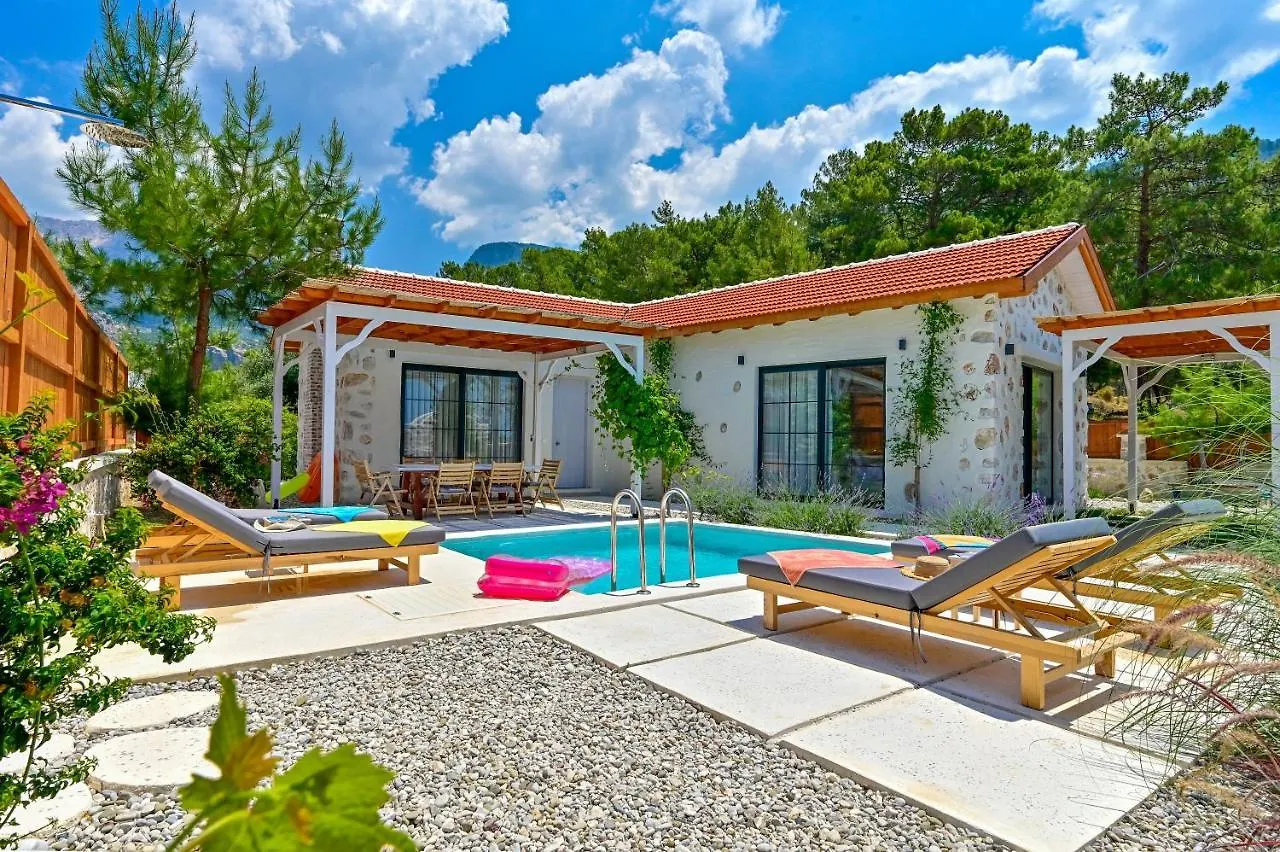 Sojoy Villa Allure Fethiye
